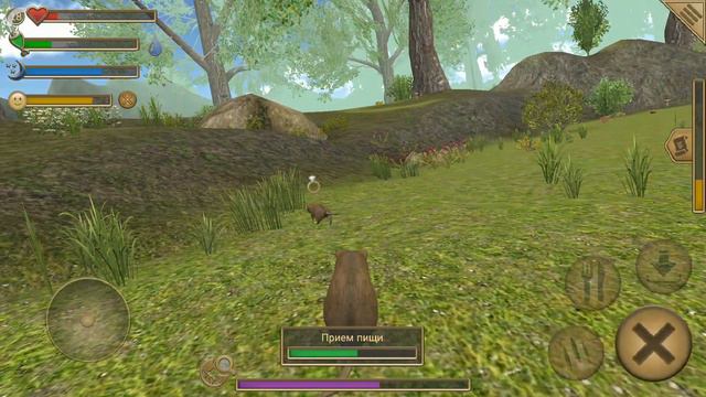 Играем в Симулятор мыши.(часть 1) смотреть онлайн