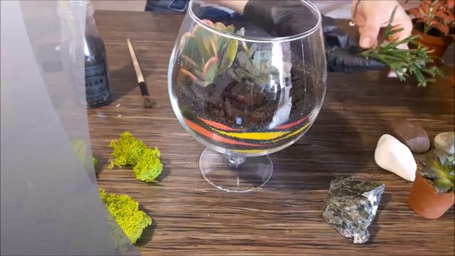 Флорариум своими руками с нуля. С чего начать флорариум