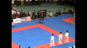 19 Чемпионат Мира по Каратэ WKF-Токио, Япония 2008