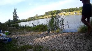 Ловим осетра и карпа на платнике