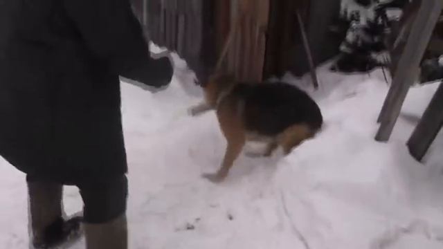 Чудесные прогулки на чистом воздухе настоянные. 30. 01. 2021 смотреть онлайн