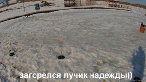 КРХ ПАРАМОНОВО. ФОРЕЛЬ СО ЛЬДА. РУБРИКА - ИНОГДА РЫБАЧИМ НА ПЛАТНИКАХ.