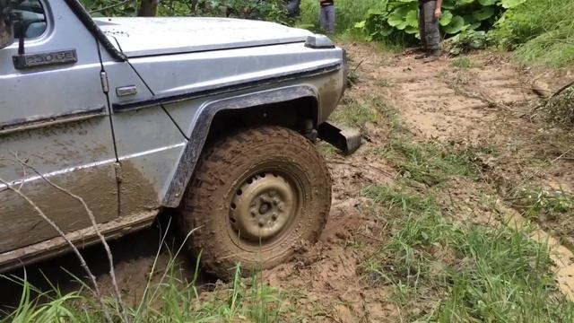 Пальмовая балка смотреть онлайн