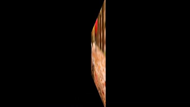 С Днем рождения внук !!!  Солнечный мальчик   на стихи И. Рыжего