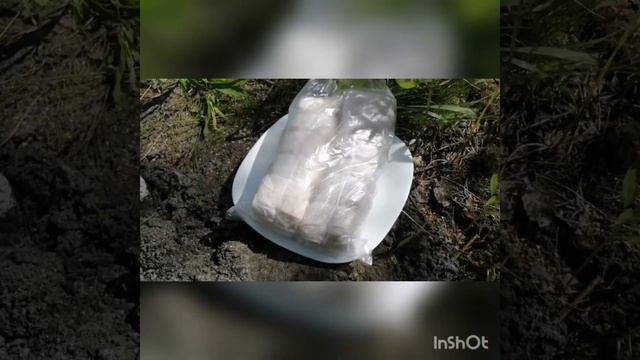 Коптим сало или как скоптить ПРОСТО и ВКУСНО!!! смотреть онлайн