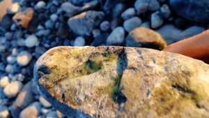 Поиск окатыш ей на высохшей реке в верховьях Саянских Гор. Благородный Серпентенит / Змеевик Нефрит