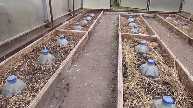 19 октября 2021 года. Лишняя почва в делянках теплицы... смотреть онлайн