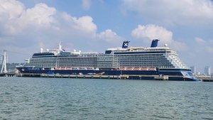 #30 В Сингапур со своим топором. Понравился ли нам круиз Celebrity? Сильная качка на лайнере