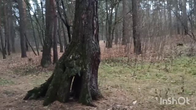 Вот моль зараза / Что это за белый дым был?/Странно, что это такое смотреть онлайн