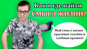 В чем смысл жизни? Зачем человек живет? 7 главных целей жизни человека!