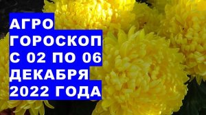 Агрогороскоп с 02 по 06 декабря 2022 года