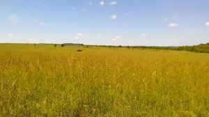 Мтз-82 на сенокосе