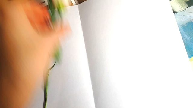 Как сушить цветы. Сухоцветы. Эксперимент 10 дней 3 способа сушки ... смотреть онлайн