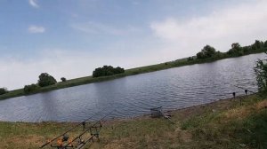 Carpfishing.ЛОВЛЯ ТРОФЕЙНОГО АМУРА НА ПЕЛЕТС, НА КУБАНИ