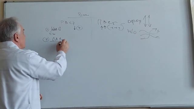 Волокнистые соединительные ткани. часть 1. проф. Баринов Э.Ф.
