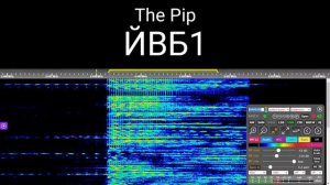 The Pip live voice message + very loud buzzing 18.January 2021 7:53 UTC