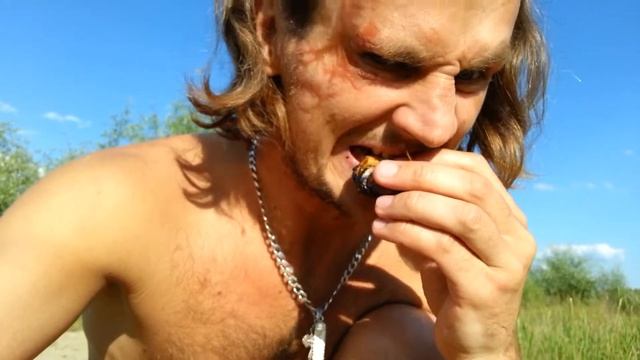 Речные мидии Buflyr смотреть онлайн