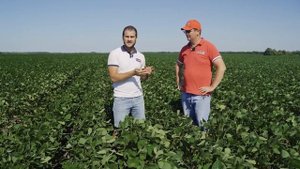 СОЯ ПО СОЕ 4 ГОДА — анонс семинара у Алексея Гриднева