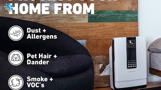 Best Air Purifier for Pets _ Top 5 Air Purifier for Pets _ Air Purifier for Pets Large Room смотреть онлайн