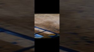 Я ищу загадки