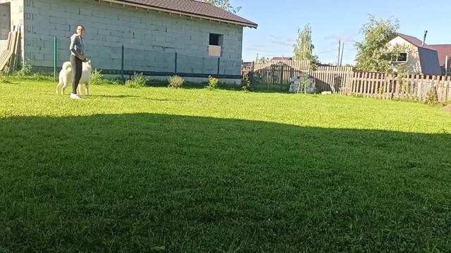 Камелот смотреть онлайн