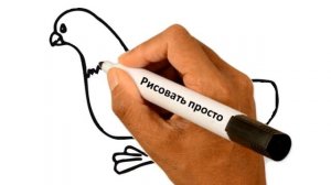 Голубь, как нарисовать