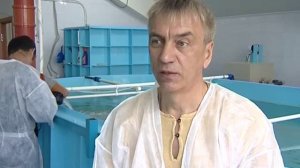 Осетровая ферма