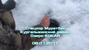Рыбалка в Казахстане обзор №31 Астана Рыбалка Северный Казахстан