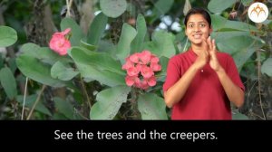 Nature | 1st | ISL (Indian Sign Language)