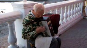 Уличный гармонист