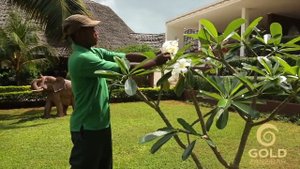 Отель Gold Zanzibar Beach House & Spa 5* - Танзания, Занзибар