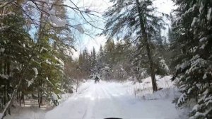 Ride the BRP skidoo tundra 600 ace into the forest 5 minutes length video on you tube