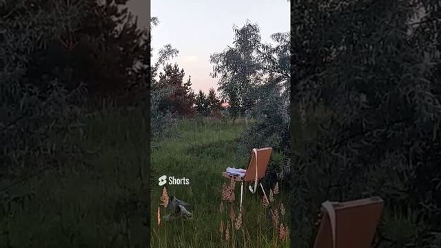 Пленэр. Закатное небо. смотреть онлайн