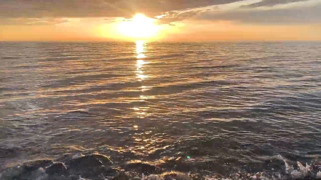 Последние дни на юге Грузии #автодом #своимируками #vanlife смотреть онлайн