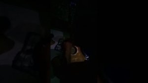Полюбила вора