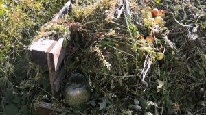 Разведение ОПАРЫША без запаха.