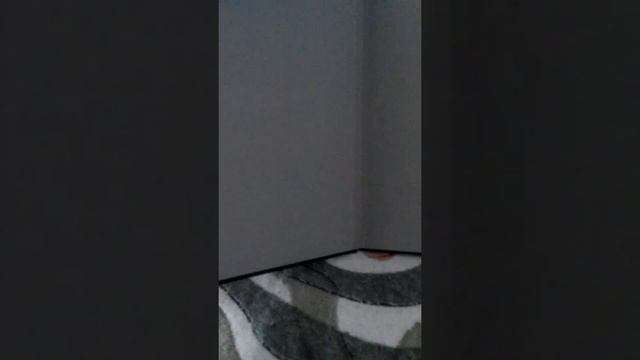 Книги Гравити Фолз