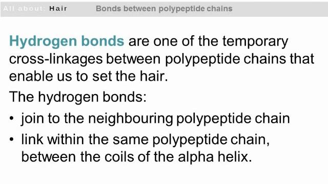 The Internal Chemical Bonds of Hair