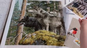 Финиш "Накануне Рождества " от Овен/ 2 года каналу/ Подарок/