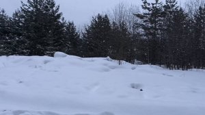 歌に歩く crystal castles ♱︎