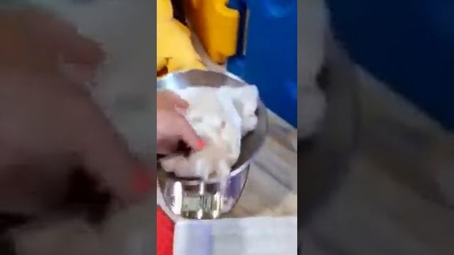 Взвешивание щенков чихуахуа 4 дня