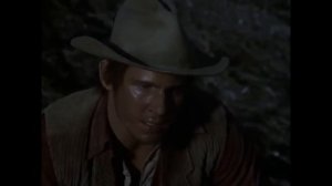 Вестерн Долгий перегон, VHS