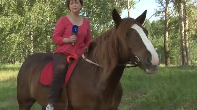 "Дети-Ангелы" Конный праздник, организованный на День защиты Детей 06.06.2016 г. смотреть онлайн