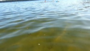 Белое озеро. Ульяновская область 2016.