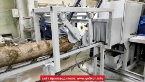 тонкомерный станок СПТ-280т для переработки тонкомера на обрезные доски за 1 проход отходы 2горбыля