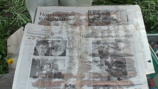 ОБЪЕДИНЕНИЕ ПЧЕЛИНЫХ СЕМЕЙ ЧЕРЕЗ ГАЗЕТУ. ЛЮБИТЕЛЬСКОЕ ПЧЕЛОВОДСТВО С 0 #ПЧЕЛОВОДСТВО #ПАСЕКА #ПЧЕЛЫ