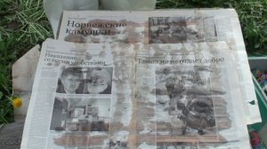 ОБЪЕДИНЕНИЕ ПЧЕЛИНЫХ СЕМЕЙ ЧЕРЕЗ ГАЗЕТУ. ЛЮБИТЕЛЬСКОЕ ПЧЕЛОВОДСТВО С 0 #ПЧЕЛОВОДСТВО #ПАСЕКА #ПЧЕЛЫ