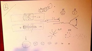 153. Лекция 7.4. Живые существа и поле времени (полная)