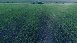 СЫН РАБОТАЕТ НА САМОХОДНОЙ МАШИНЕ ОПРЫСКИВАТЕЛЬ ТУМАН 3