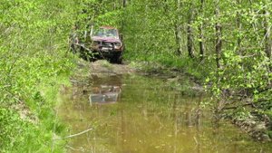 Тхамаха-Желтые монастыри лужа